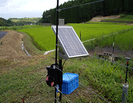 Elektrozaun zur Wildtierkontrolle
